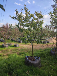 6b2ab9b7-2af8-4bcb-8949-339fe848