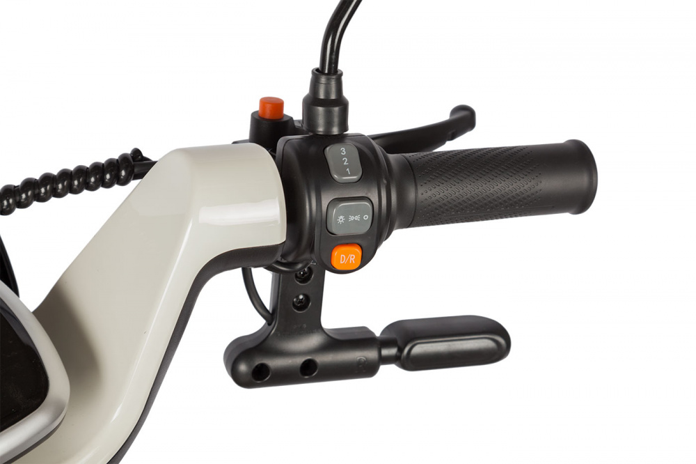Электротрицикл Rutrike Gelbert Ogma 48V/60V 650Вт